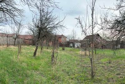 Casă cu 4 camere în Sebiș - 1