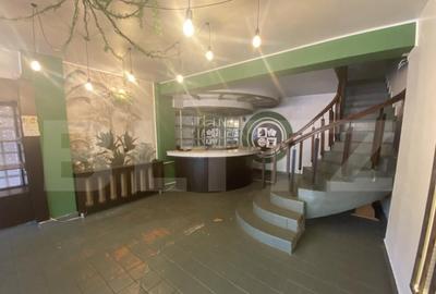 Cladire comerciala, 377 mp, zona Bulevardul Gheorghe Chitu - 21