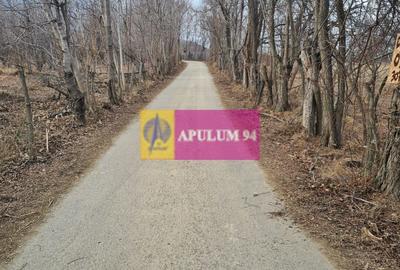 Teren intravilan de vanzare in Cornu de Jos - 6