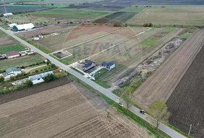 Teren intravilan 10869mp Mircestii Vechi / DJ 204E - 1