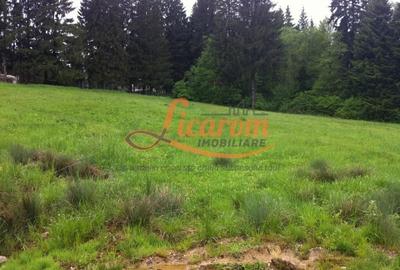 Teren Construcții intravilan de 980 mp, în Timișu de Sus - 17