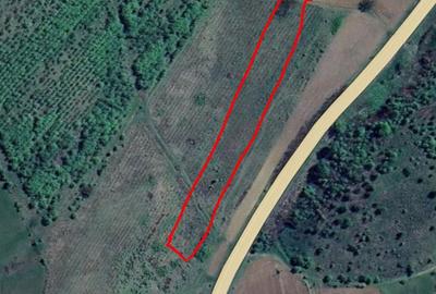 Spațiu comercial, în Central - 2