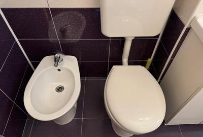 Cartier Scriitorilor, str. Bogdan Petriceicu Hasdeu, ap cu 4 camere de inchiriat - 13