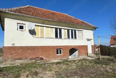 Casă cu 2 camere cu Teren 3800 Mp în Nucșoara - 2