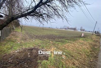Teren Construcții intravilan de 7200 mp, în Doina - 2