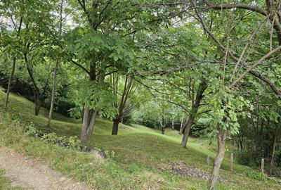 TEREN DE VANZARE SECIURI - 16