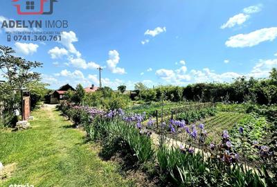 Casă cu 6 camere cu Teren 2026 Mp în Murighiol - 5