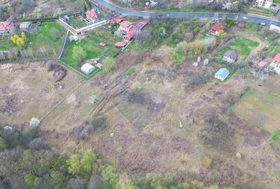 Teren agricol intravilan de 5006 mp, în Bucium - 4