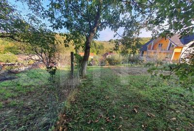 Teren intravilan, podul Jelnei foarte aproape de oras,11 Ari Teren intravilan, podul Jelnei foarte aproape de oras,11 Ari - 1