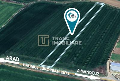 Teren agricol extravilan de 10422 mp, în Zimandcuz - 1