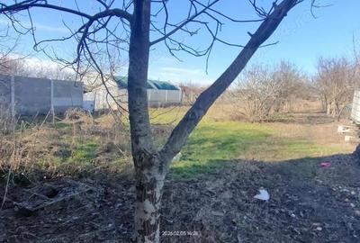 Casă cu 3 camere în Parța - 19