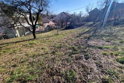 Valea Rosie, teren 820 mp intravilan - 4