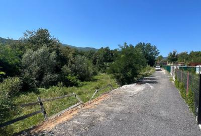 ✨ Teren intravilan exclusivist – Valea Viilor, Tocile ✨ - 7