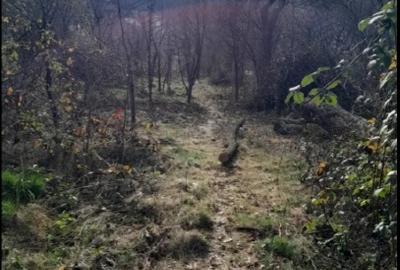 Vand teren intravilan livada - 3