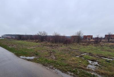 Teren premium 26.651mp Corbeanca – acces la A0 si DN1 - 8