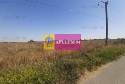Teren Construcții intravilan de 1300 mp, în 1 Decembrie - 13