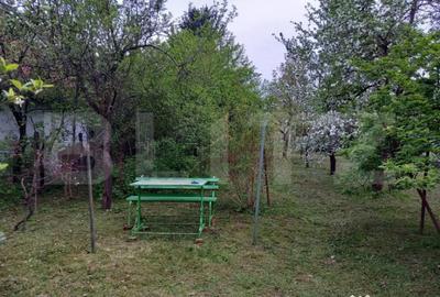 Teren de 600 mp, în Bercu Roșu - 7