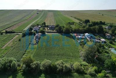 Teren de 3500 mp, în Bogdănești - 2