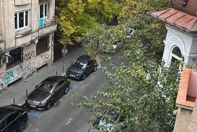 Istorie și Modernitate | Grădina Icoanei | Direct proprietar - 16