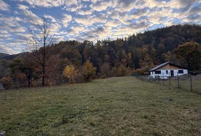 Teren de 3500 mp, în Cuejdiu - 5