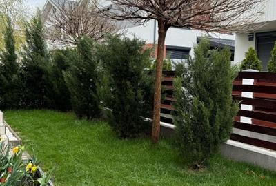 Duplex cu 3 camere cu Canalizare în Albert - 3