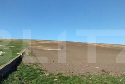 Teren 3600 mp, la DE 85, iesire Letcani, utilitati aproape - 3