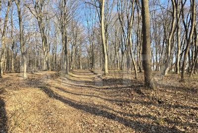 Teren de 3000 mp, în Făget