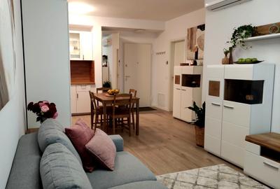 Apartament de 2 camere de inchiriat Doamna Ghica