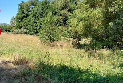 TEREN INTRAVILAN IN MARGA-LA DN68 JUD.CARA?-SEVERIN - 2