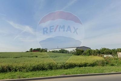 Teren Intravilan de vanzare 21000 mp Balotesti Soseaua Unirii - 2