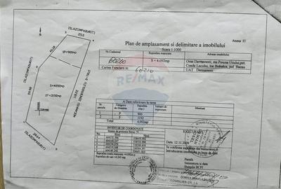 Teren 7 loturi de vanzare 65.313 mp, Valea Uzului, Darmanesti - 2
