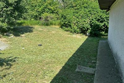 Casă individuală cu 3 camere cu Teren 5700 Mp în Pădureni (Grajduri) - 8