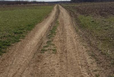 Teren de 3370 mp, în Moșoaia - 3