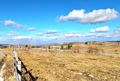 Teren parcelabil, front la strada, 3269mp, utilitati in zona - 1