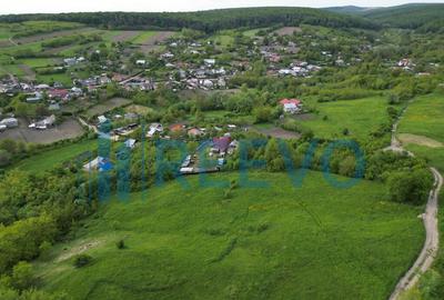 Teren de vanzare, Com. Racova, Str. Bradului, Bacau - 15