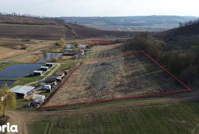 Teren de 7000 mp, în Laslea - 2