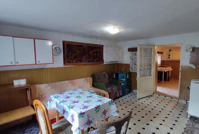 De vanzare Casa 2 camere cu Teren 1323 mp, 2 fronturi - Gradina Viilor - Carei - 6