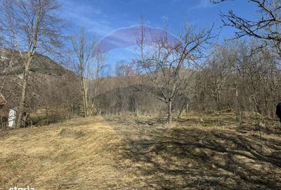 Casă cu 2 camere în Izvoarele - 3