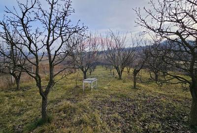 Teren extravilan de 10791 mp, în Fălticeni - 16