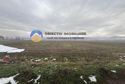 Teren Savinesti- jud. Neamt - 1