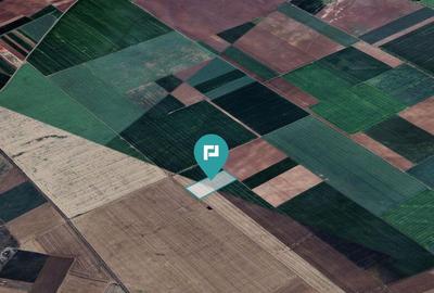 Teren arabil de 4,4Ha in ?imand - 1