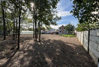 Spațiu comercial, în Tunari - 6