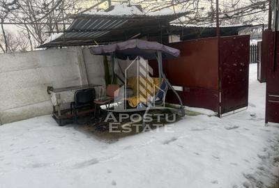 Casa individuala cu teren mare in Remetea Mare - 1