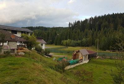 Teren de 1360 mp, în Voroneț - 1