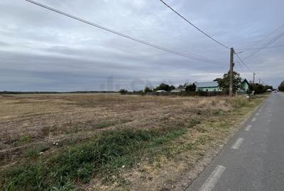 REL4001197 Teren intravilan construibil zona rezidentiala - 8