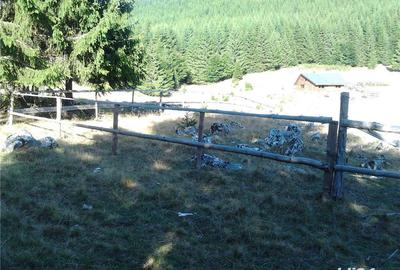 Teren de 1000 mp, în Curtea de Argeș - 5