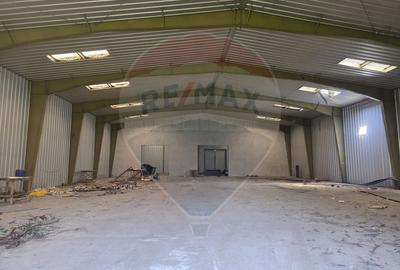 Teren Construcții intravilan de 13210 mp, în Ștefăneștii de Jos - 7