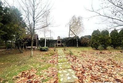 Proprietate cu 1566 mp teren intravilan si Case de locuit+ anexe Proprietate cu 1566 mp teren intravilan si Case de locuit+ anexe - 5