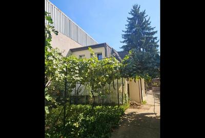 Vila l Parcul Circului Vila l Parcul Circului - 5