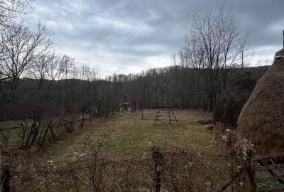 Teren intre case | 3782 mp | Alunis | Slanic Prahova - 4